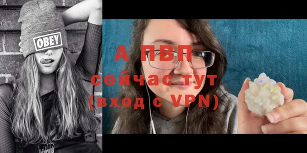 стафф Арсеньев