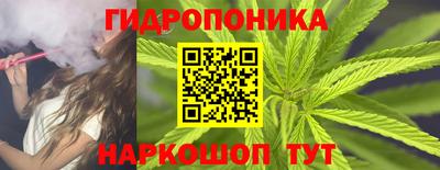 ГАЛЛЮЦИНОГЕННЫЕ ГРИБЫ Аргун