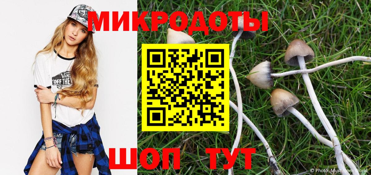 Галлюциногенные грибы Psilocybine cubensis Белорецк