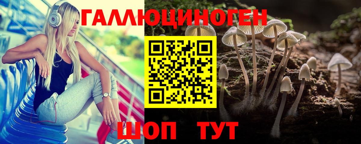 Белорецк  Псилоцибиновые грибы GOLDEN TEACHER  Вход с VPN  Галлюциногенные грибы мицелий 